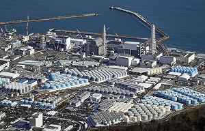 日本福島核災後 首次從圍阻體內取出核燃料團塊