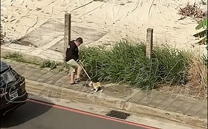 飼主腳踢拋甩寵物犬　新北動保處追查究責列黑名單再罰8萬元