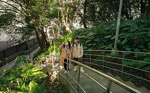 新店安康森林公園  在城市中享受芬多精森林浴