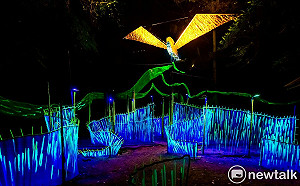 山林間賞景探險看光雕  龍崎光節－空山祭最驚艷