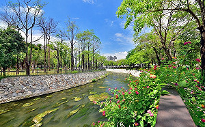 善用水資源台中污水廠大變身 裝置藝術、滑草道 連咖啡廳都進駐