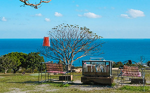 春節「東海岸」走春去！這些超夯熱門景點不能錯過
