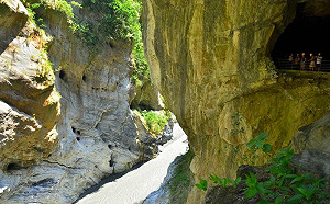過年走春踏青去！全台8大國家公園營業、交管資訊一次看