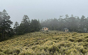 春節連假登山前功課先做足 萬一迷途務必記住「STOP」口訣