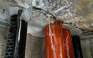 不只新竹大秘寶! 游淑慧揭北市社宅問題多 喊話蔣萬安加油