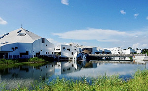 春節連假去哪裡？台江國家公園賞鷺趣！