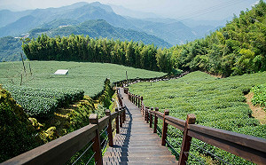 過年嘉縣超好玩 人氣路線＋銅板美食  