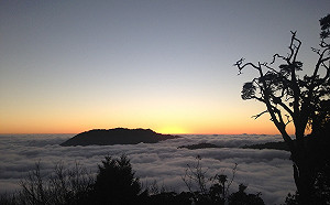 春節踏青拿獎品！4森林遊樂區迎春活動一次看