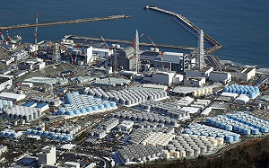 日本福島核災後 首次從圍阻體內取出核燃料團塊