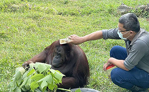 保育員宛如「保母」 與動物建立深厚情誼