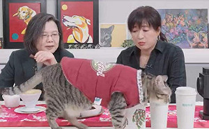 （影）蔡培慧攜南投新創商品拜年 蔡英文：選舉累了就喝咖啡、玩弄「蔡想想」