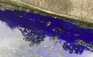 王浩宇：高虹安沒證據就抹黑新竹球場貪污 我難道不可以貼水溝藍？