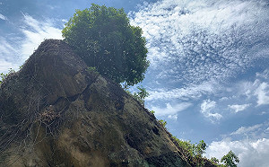 新北鶯歌石步道走春！微笑登山兔Gether