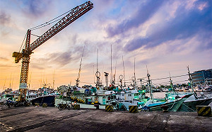 走春海鮮吃透透！全台8大特色漁港好吃推薦