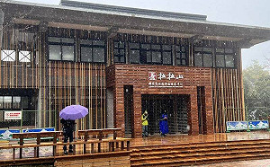 拉拉山下雪！林務局：道路若積雪將啟動封路 禁車輛進入 