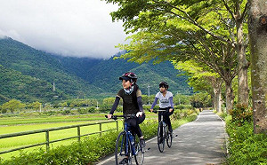 環島必訪！全台最美8大自行車道