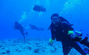 曾造訪30次  陳其邁盼再到帛琉潛水