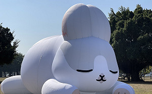 高雄蓮澤燈會公布陸上主燈  開幕當天發放限量小提燈