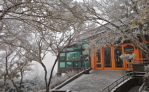 春節第二波寒流 宜蘭太平山再現霧淞雪白美景