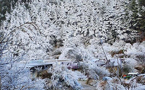 寒流天氣趨勢一圖看！先濕冷後乾冷 明晚起高山有望降雪