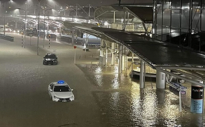 15小時內降75%夏季總雨量 紐西蘭奧克蘭「水深及胸」