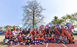 高雄市第一棵最美校樹 新威國小吉貝木棉新春綻放新芽