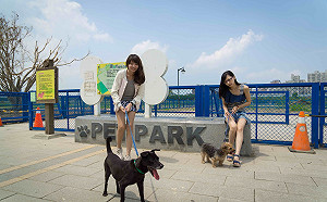 春節連假尾聲 快帶毛寶貝到新北寵物公園走春去