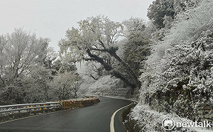 雪線再往下修！專家：寒流來襲「這地方」也可能下雪