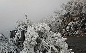 強烈大陸冷氣團南下！低溫下探12度  專家：東北部高山有望結冰 