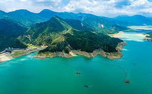 情人節降甘霖！曾文水庫連下3天雨入流量增加10萬立方米