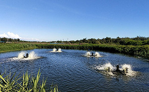 立委蔡易餘建議中央推動「馬力水車舊換新節能變頻水車」
