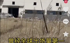 (影) 中國太陽能巨頭也垮了! 英利集團連年虧損退市 工廠雜草叢生