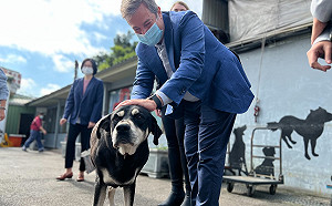 動保之愛無國界  寵物食品團隊越洋訪視新北毛寶貝生教園區