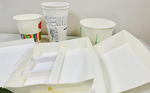 擴大限塑！8/1禁用「生物可分解」塑膠免洗餐具 違者罰1200元