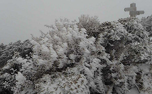 下雪了！雪山積雪2公分  雪白世界網讚：這才是雪山