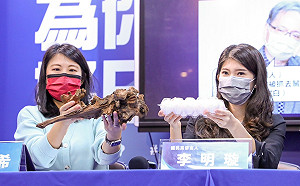 閣員上班爽泡溫泉報公帳 國民黨：民進黨你們就繼續墮落吧!