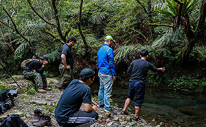 (影)新北「淡蘭古道」名揚國際　三部曲原聲帶勇奪葛萊美獎 