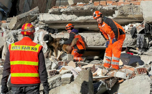 搜救犬立大功！土耳其強震 從廢墟已救出20人