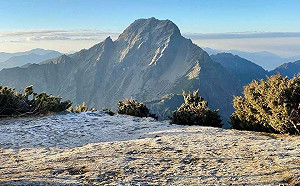 玉山1月均溫創歷史新高！氣象局：全球暖化影響  至今未降雪