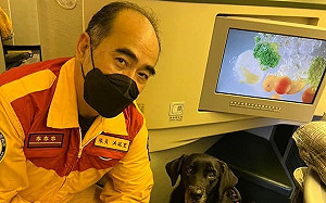 特搜隊直飛土耳其災區！網友曝航線 大贊搜救犬搭乘商務艙    