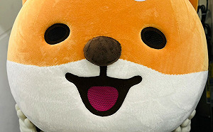 新北響應世界母語日 用本土語大聲說！ 