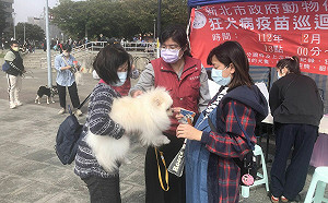 西洋情人節前夕 　新北動保處「寵物情人，一起幸福」淡水河畔浪漫登場