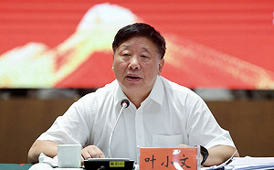 葉小文赴台遭拒嗆「不肖子孫」他轟：中國迫害宗教又毁佛 真為星雲而來？