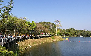 情人節約會快看！穿情侶裝遊虎頭埤「兩人同行一人免費」