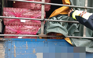 選擇合法運輸公司專業又放心 有搬家需求請認明綠底白字的營業貨車