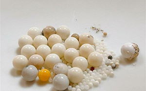 星雲舍利子被P圖成中國貨 佛光山點名開酸「只是堵藍」：背景為何？