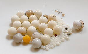 臉書粉專截圖稱星雲舍利子盜圖  佛光山駁：原檔都保留著