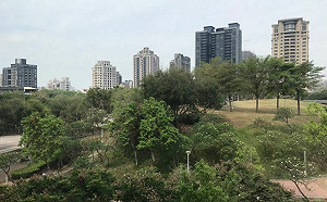 去年底房地合一稅　創歷史單月新高