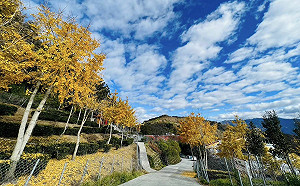 228連假「3景點」恐塞爆！公總公布3大避塞車時段