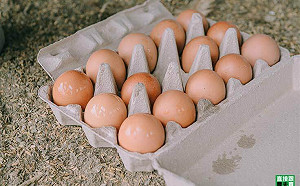 蛋雞數量單周減68萬隻？缺蛋情形雪上加霜